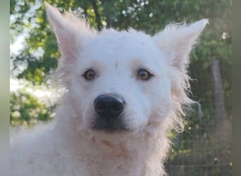 Sensible Jody ♥️ sucht Liebe & Verständnis