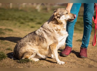 Schöne ♥Sibilla♥ sanft und freundlich