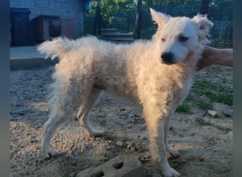 Sensible Jody ♥️ sucht Liebe & Verständnis