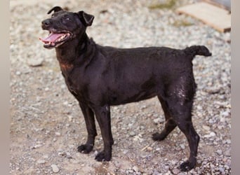 Hana - wundervolle, liebe Zuckerschnute mit einem kleinen Tick