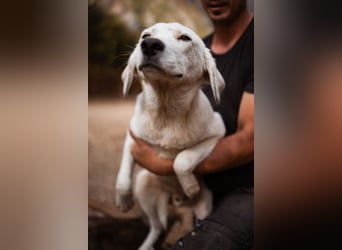 Schöner ♥ SONI ♥ möchte so sehr gerne seine Koffer hier packen