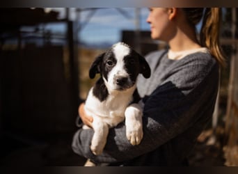 Kleine EMMY❤️ein zuckersüßes Energiebündel und voller Lebensfreude