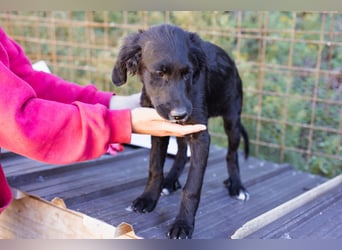 Mila ❤️ so süßes + lebensfrohes Mädchen!