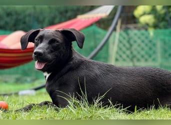 Paula ❤️ wartet in 21493 Schwarzenbek auf deinen Besuch!