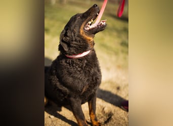 Aktiver Ares sucht seine aktiven Menschen