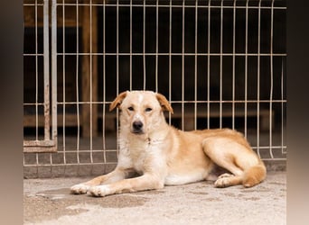 Bob wartet sehnsüchtig auf deine Anfrage