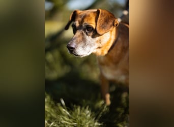 Liebste ♥Senka♥ mit einem großen Herzen