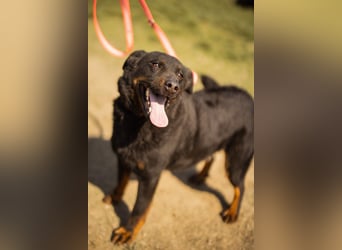 Aktiver Ares sucht seine aktiven Menschen