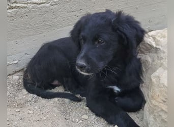 Mila ❤️ so süßes + lebensfrohes Mädchen!