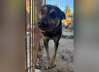 Otto ❤️ so freundlich und verträglich!