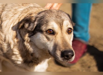 Schöne ♥Sibilla♥ sanft und freundlich