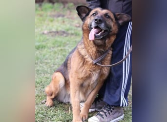 Einzelprinzessin Edna ❤️ sucht ihr Körbchen