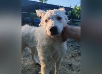 Sensible Jody ♥️ sucht Liebe & Verständnis