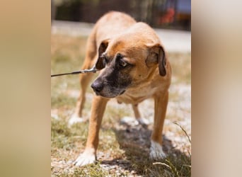 Liebste ♥Senka♥ mit einem großen Herzen