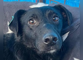 PINA❤️liebe, soziale Schönheit mit Charakter