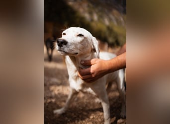 Schöner ♥ SONI ♥ möchte so sehr gerne seine Koffer hier packen