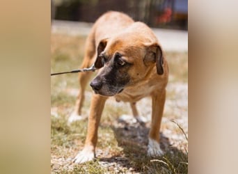 Liebe Senka mit einem großen Herzen