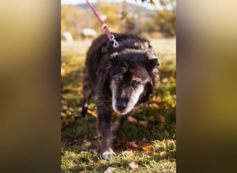 OldLady Srećka hat Sehnsucht nach Liebe