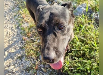 Goldige Godina | sozial,aktiv,lebensfroh 