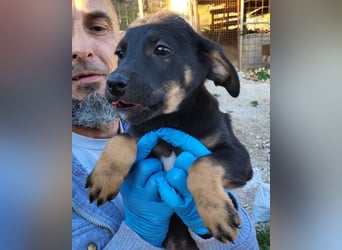 Jonas ❤️ fröhlicher + lebensfroher Schatz!