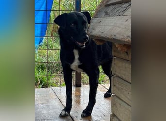 PINA❤️liebe, soziale Schönheit mit Charakter