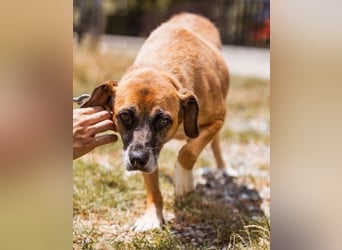 Liebe Senka mit einem großen Herzen