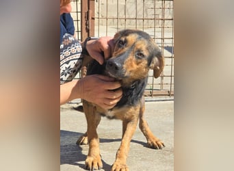 Wundervolle Aylini sucht eine Familie