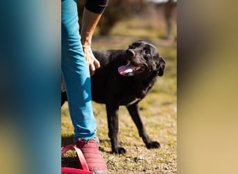 Coolio - wunderbar fröhlicher aktiver Bub