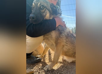 COCO❤️verspielt, sanft und voller Vertrauen: ein Herz für Groß und Klein!