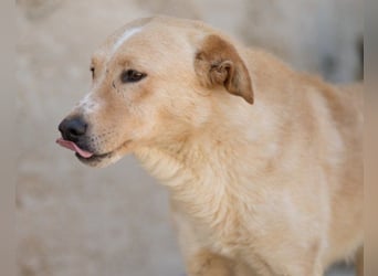 Bob wartet sehnsüchtig auf deine Anfrage