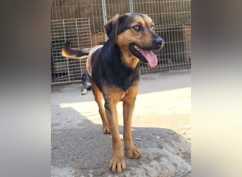 Wundervolle Aylini sucht eine Familie