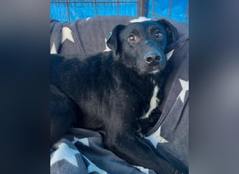 PINA❤️liebe, soziale Schönheit mit Charakter