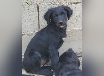 Mila ❤️ so süßes + lebensfrohes Mädchen!