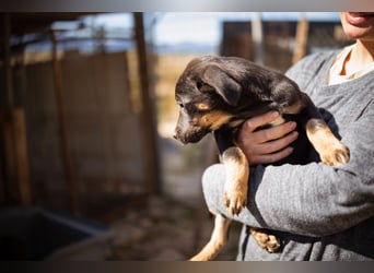 Jonas ❤️ fröhlicher + lebensfroher Schatz!