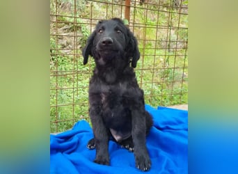 Yuki ❤️ froher, aufgeschlossener Bub!