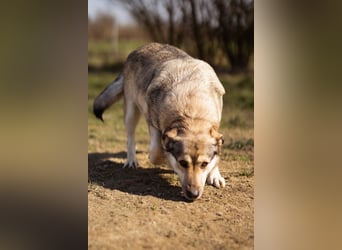 Schöne ♥Sibilla♥ sanft und freundlich