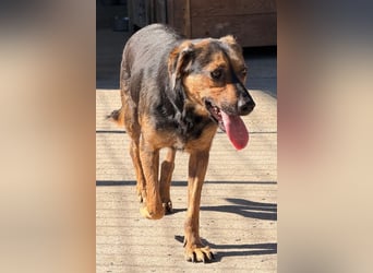 Wundervolle Aylini sucht eine Familie