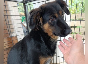 Kleine schüchterne Vaiana sucht Liebe, Vertrauen und Treue