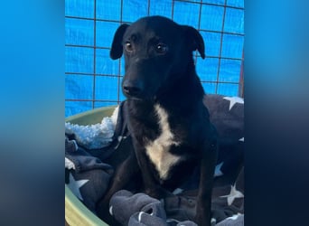 PINA❤️liebe, soziale Schönheit mit Charakter