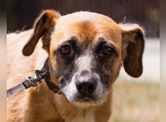 Liebste ♥Senka♥ mit einem großen Herzen