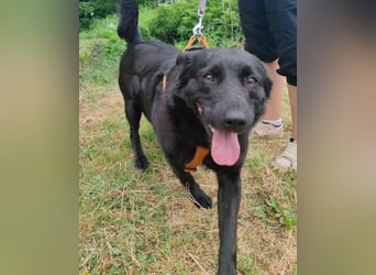 Lady Gara ♥️ freundlich, offen, verschmust