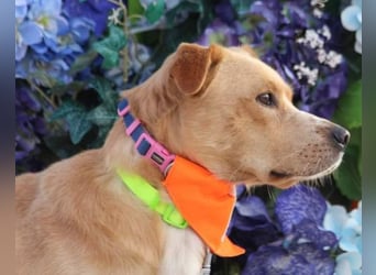 Kika & Max ❤️ gemeinsames Zuhause gesucht