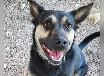 Otto ❤️ so freundlich und verträglich!