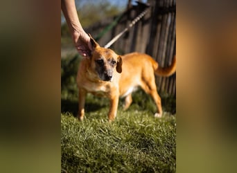 Liebste ♥ Senka ♥ mit einem großen Herzen