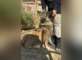 COCO❤️verspielt, sanft und voller Vertrauen: ein Herz für Groß und Klein!