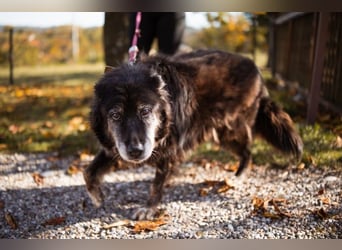 OldLady Srećka hat Sehnsucht nach Liebe