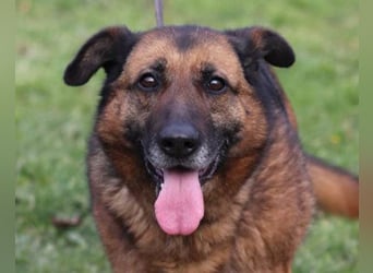 Einzelprinzessin Edna ❤️ sucht ihr Körbchen