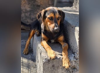 Wundervolle Aylini sucht eine Familie
