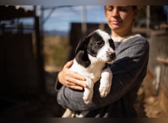 Kleine EMMY❤️ein zuckersüßes Energiebündel und voller Lebensfreude