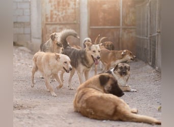 Bob wartet sehnsüchtig auf deine Anfrage